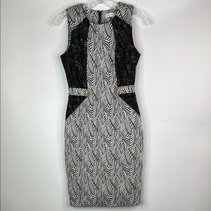 Calvin Klein Black Gray White Sleeveless Shift Dress Size 4